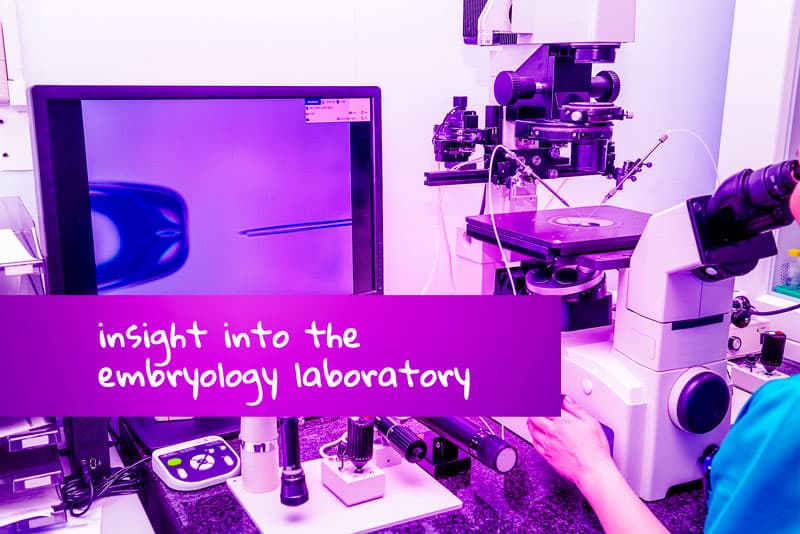 IVF embryoutveckling – insikt i embryologilabbet