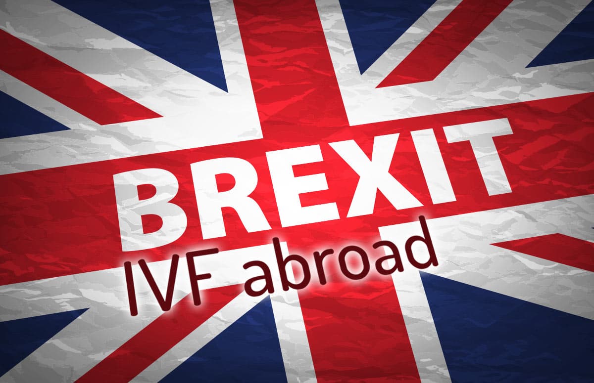 Brexit – Hur påverkar detta brittiska patienter tillgång till äggdonationsprogram utomlands?