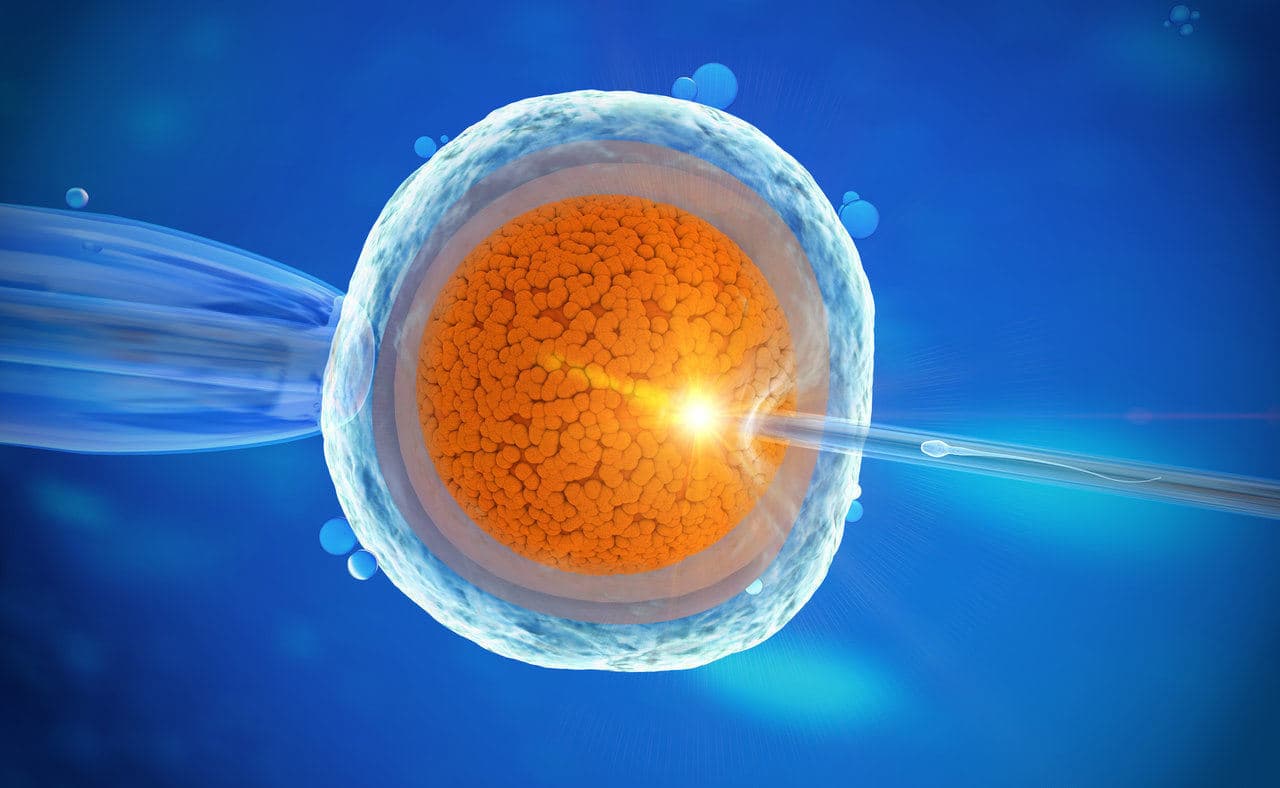 Cytoplasmisk överföring – framgång? Hur fungerar det?